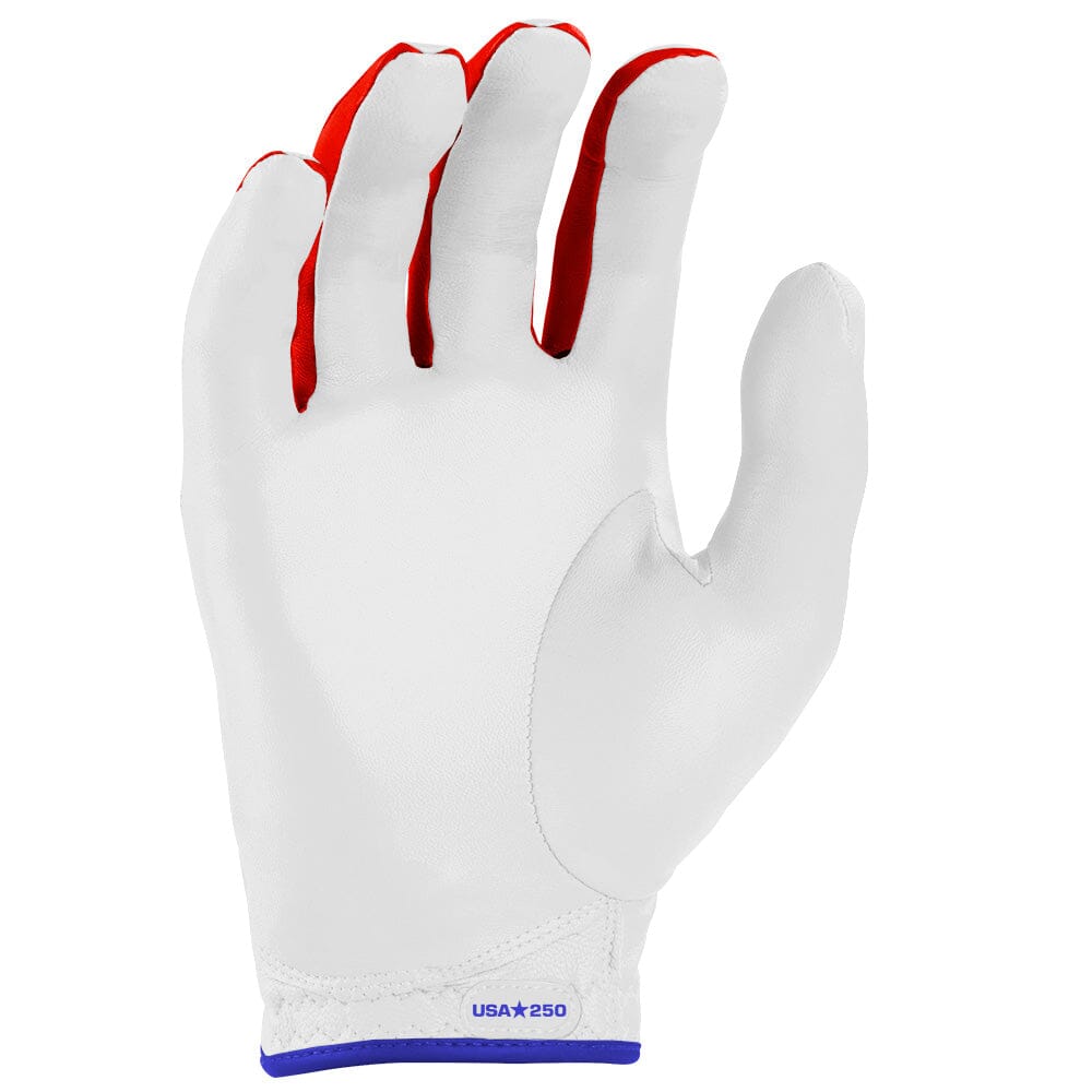 bear-series-golf-gloves-on-right-2-pack-usa-250-golf-gloves-bruce-bolt-948883.jpg